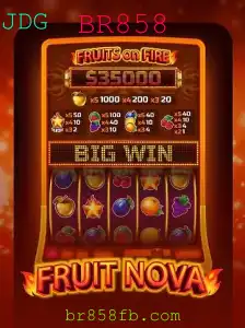 Descubra o Fascinante Mundo de FruitNova