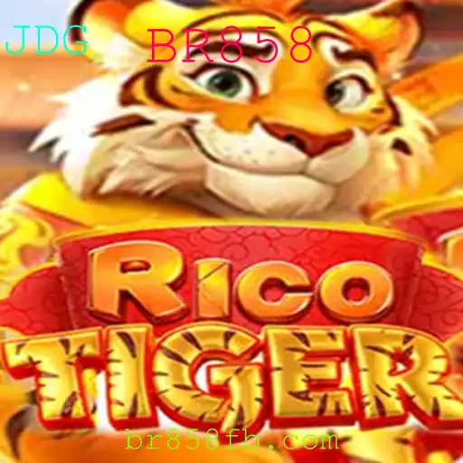RicoTiger: O Desafio Estratégico do BR858